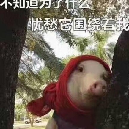洗洗睡了，踢澳大利亚绝无胜算，国少止步了！