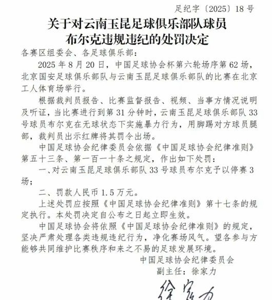 中国足协负责人：本次处罚对象人员类型更加复杂 主体多元