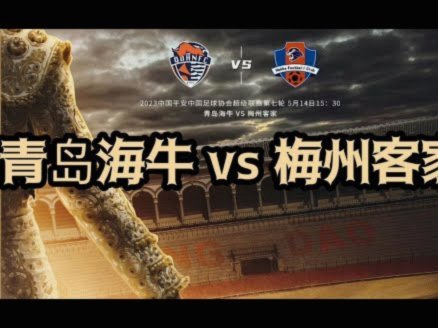 青岛海牛官方：塞尔维亚国脚图费格季奇加盟球队